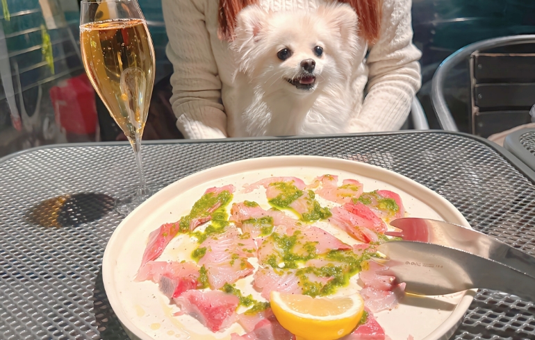 鮮魚のカルパッチョとゆめちゃん