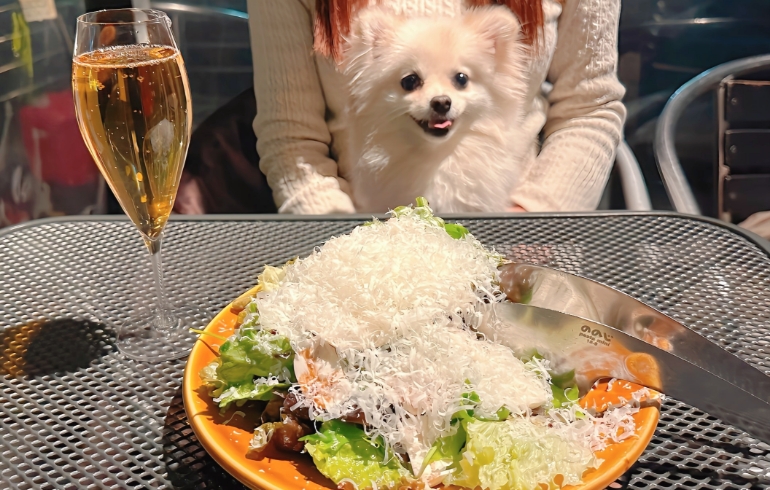マッシュルームとペコリーノチーズのサラダとゆめちゃん