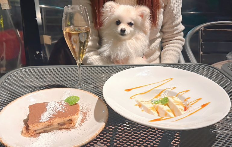 ティラミスとパンナコッタとゆめちゃん