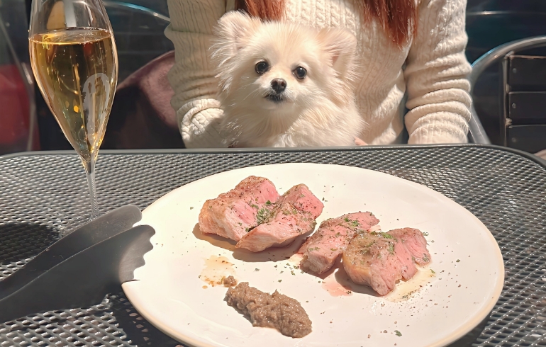 Pizzeria&Trattoria GONZO 自由が丘店