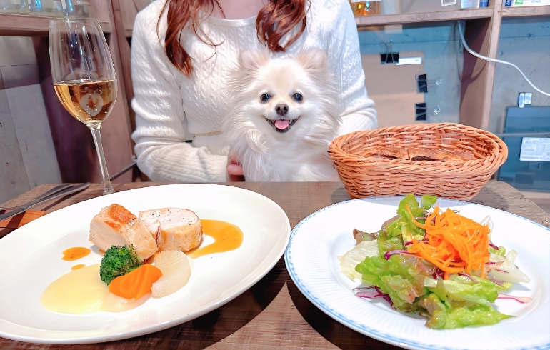 鶏むね肉のローストとサラダ
