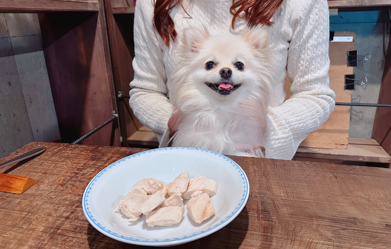 ワンちゃんのご飯