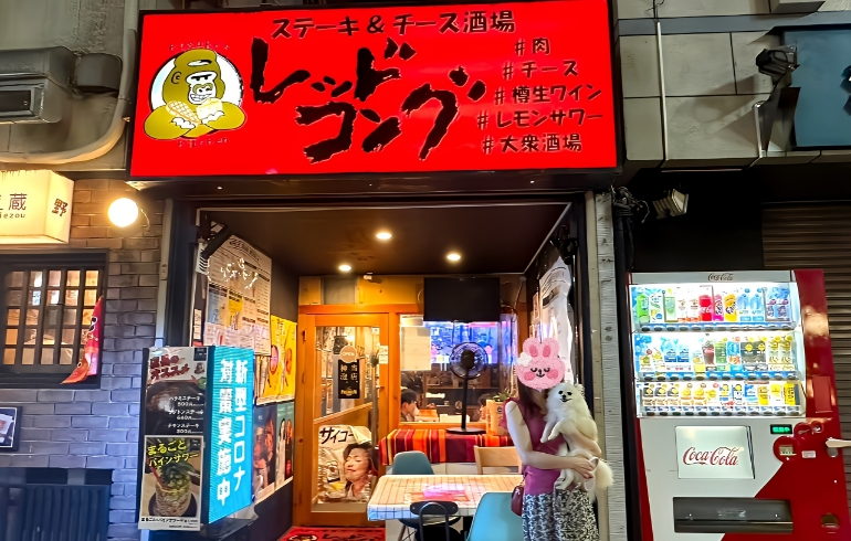 外観