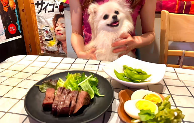 わんちゃん用ワンコインミート、ハラミステーキ、枝豆、ゆで卵