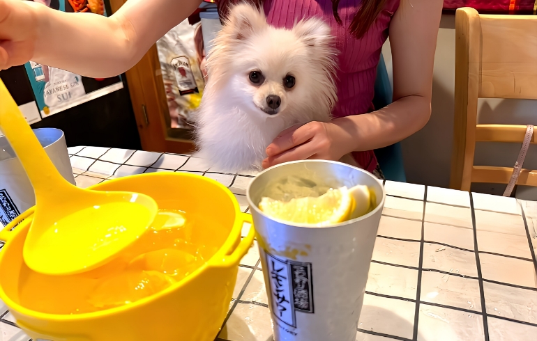 レモンサワー2