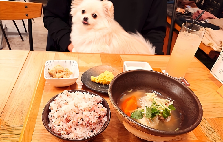 優しい味わいのごちそうスープセット（21穀米、副菜、デザート付き）