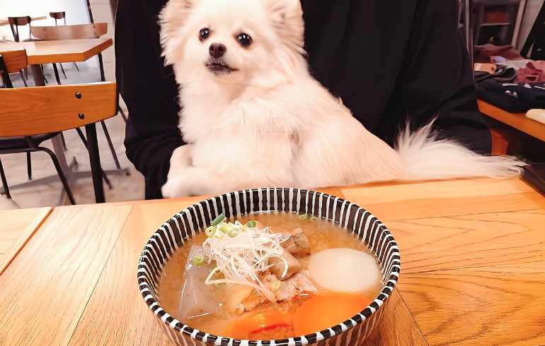 料理1