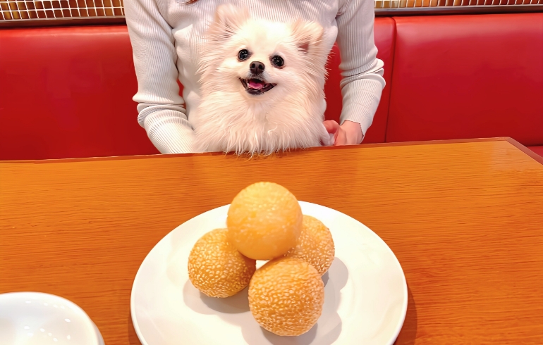 胡麻団子と犬