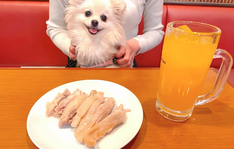 わんちゃん用のご飯