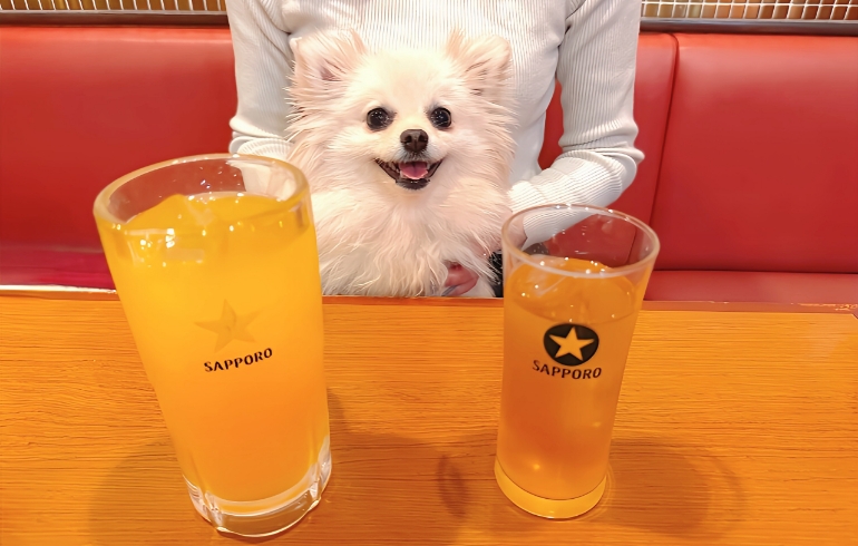ドリンク