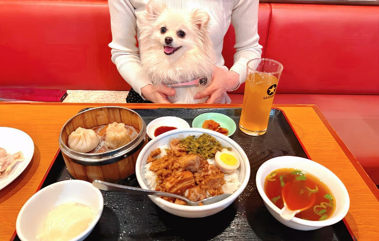 お得なセット1