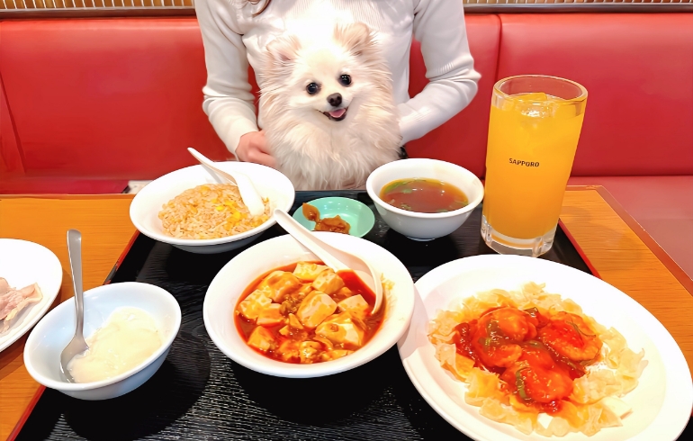 「蓮香園 新館（れんこうえんしんかん）」のメイン画像です。