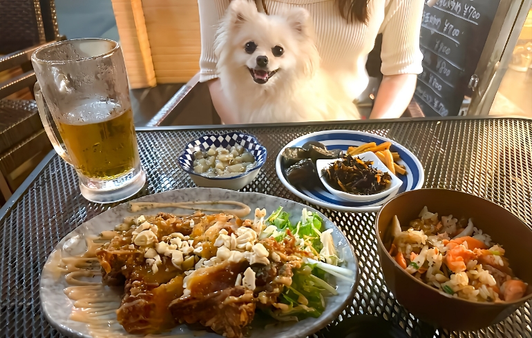 定食