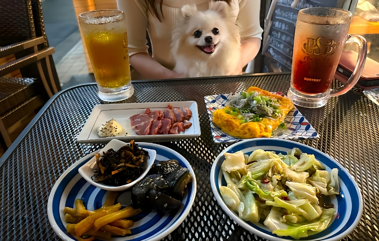 お酒とおつまみ料理各種1