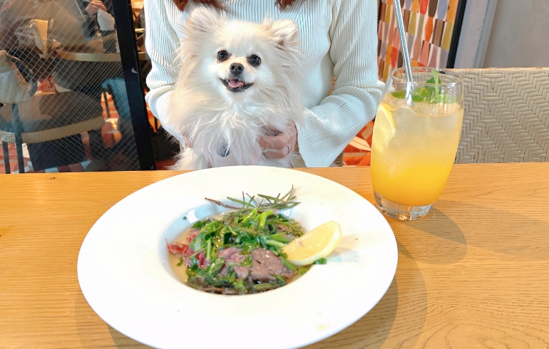 黒毛和牛のイチボのスコッタートとゆめちゃん