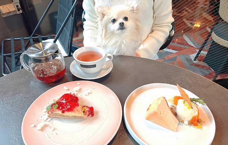 とちおとめのタルトとバスクチーズケーキ
