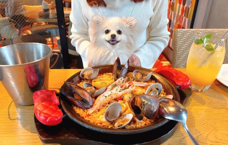 「RIGOLETTO spice market（リゴレット スパイスマーケット）」のメイン画像です。