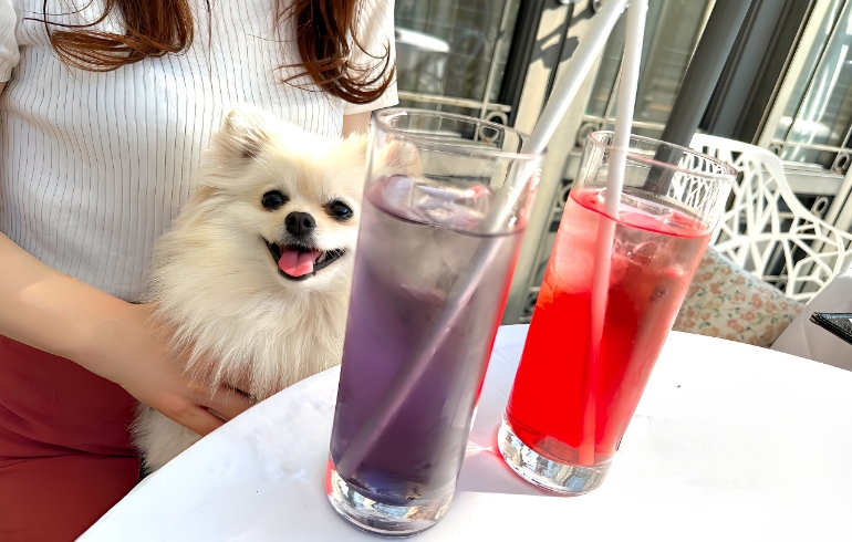 ドリンク