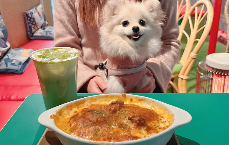 サクラ焼きカレーとゆめちゃん