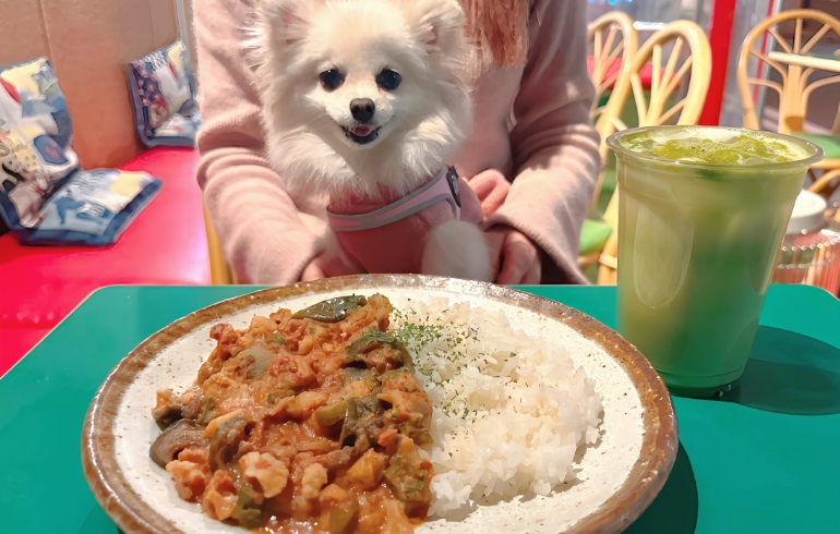 マフェとゆめちゃん