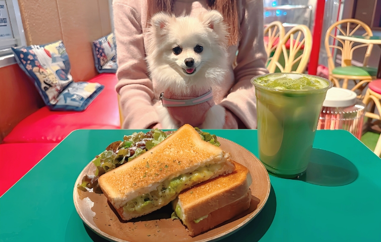 チーズアボカドサンドとゆめちゃん
