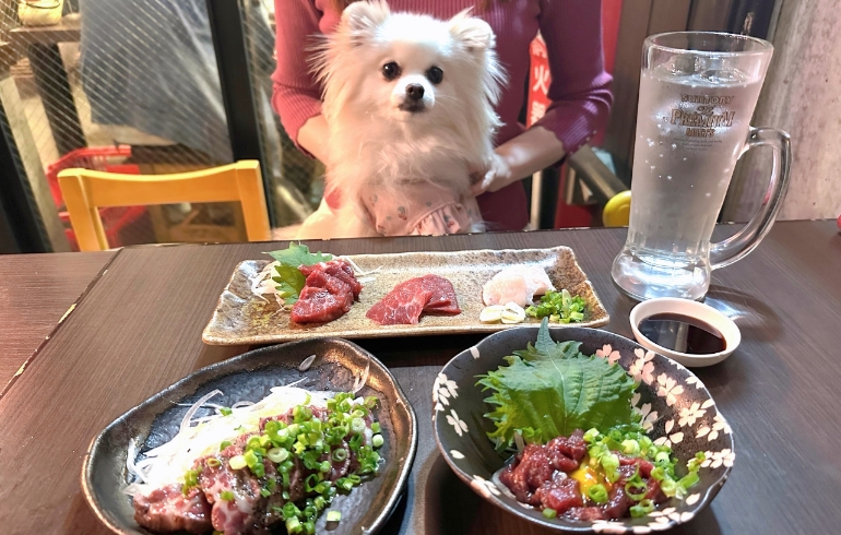 馬刺しとゆめちゃん