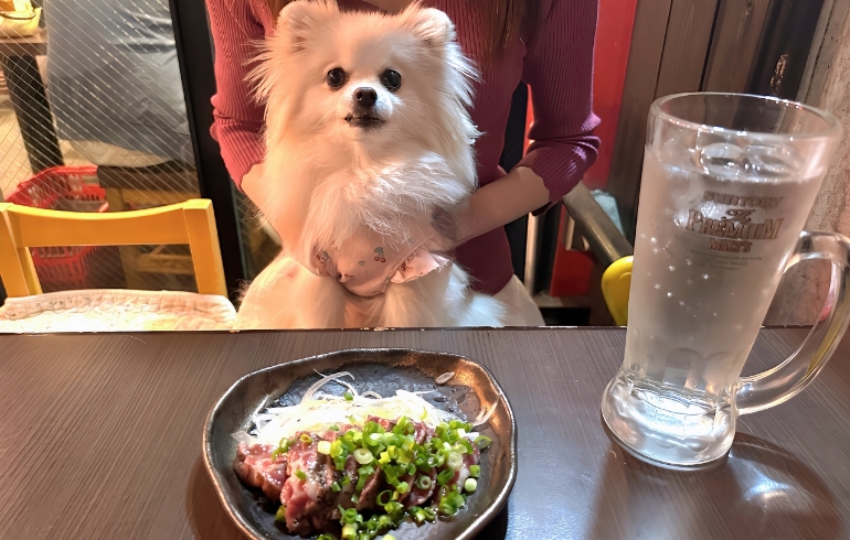 馬刺し
