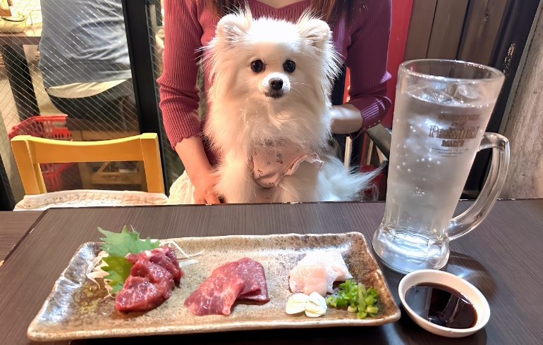 馬3種盛りとゆめちゃん