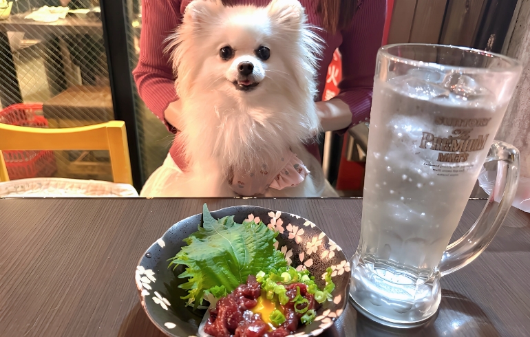 馬ユッケ刺しとゆめちゃん
