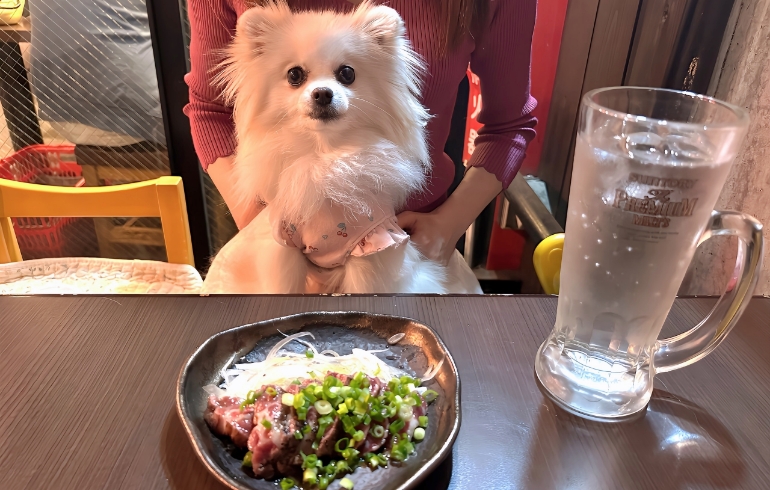馬肉のたたきとゆめちゃん
