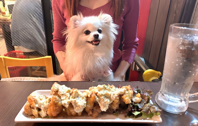 タルタルチキン南蛮とゆめちゃん