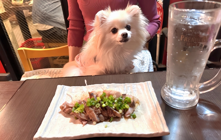 地鶏のタタキとゆめちゃん