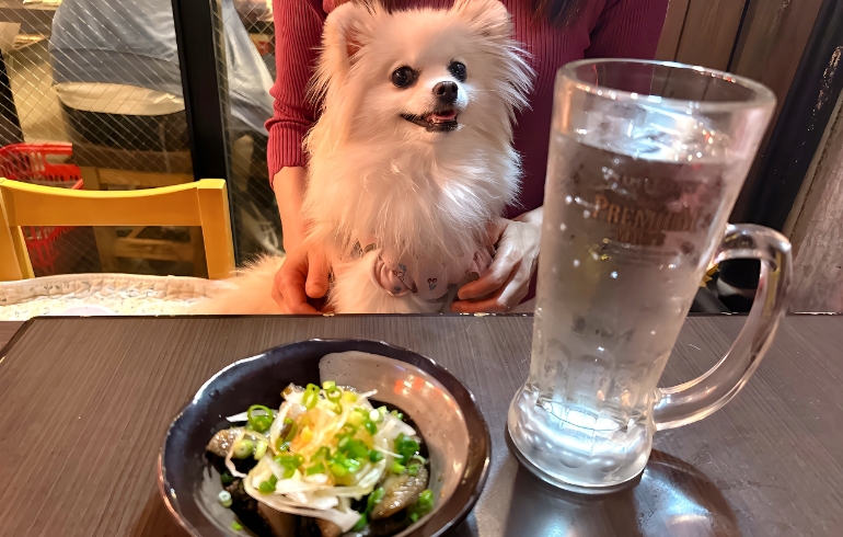 地鶏鶏皮ポン酢とゆめちゃん