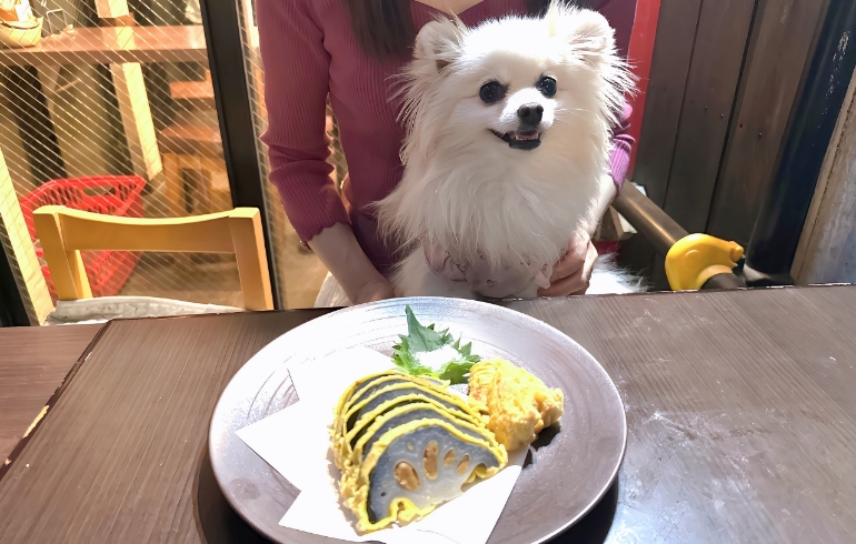揚げたてからし蓮根とゆめちゃん