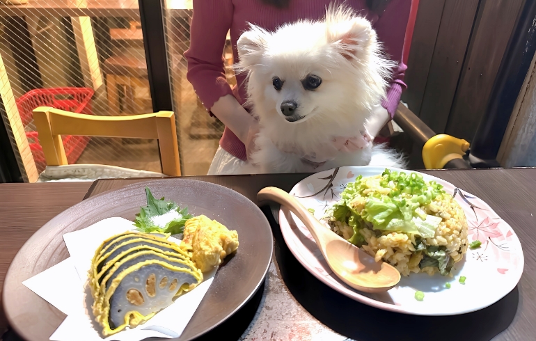 揚げたてからし蓮根とゆめちゃんと辛子高菜チャーハン