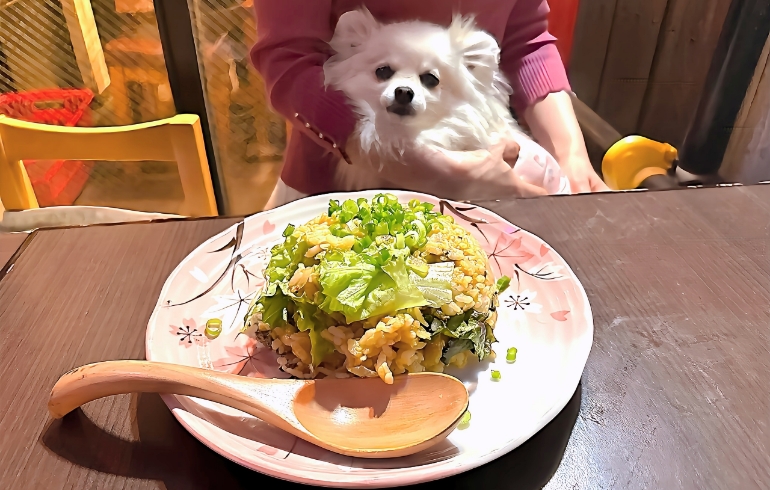 辛子高菜チャーハンとゆめちゃん