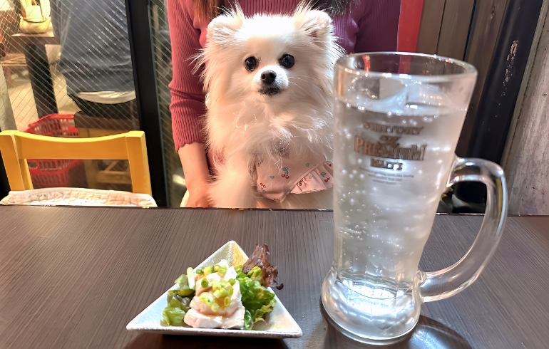 焼酎とゆめちゃん