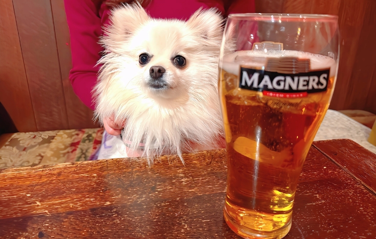 クラフトビール