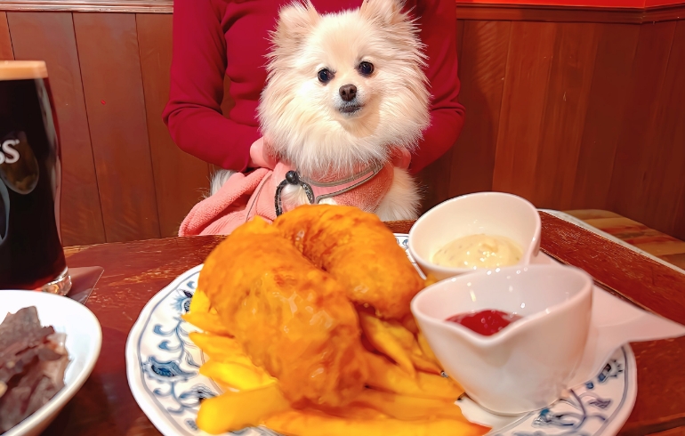 フィッシュ＆チップス