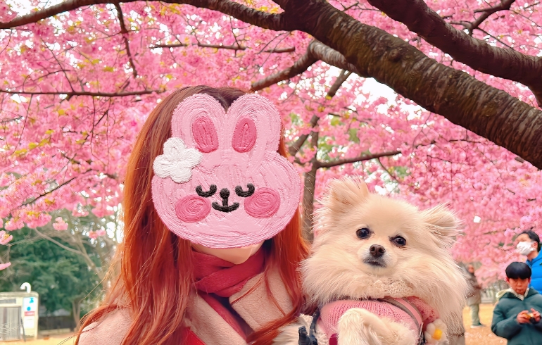 花見4