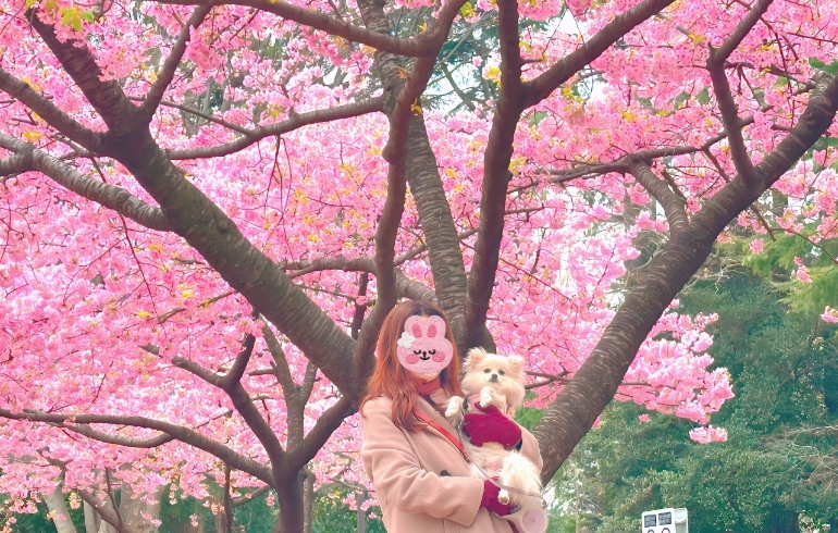 花見5