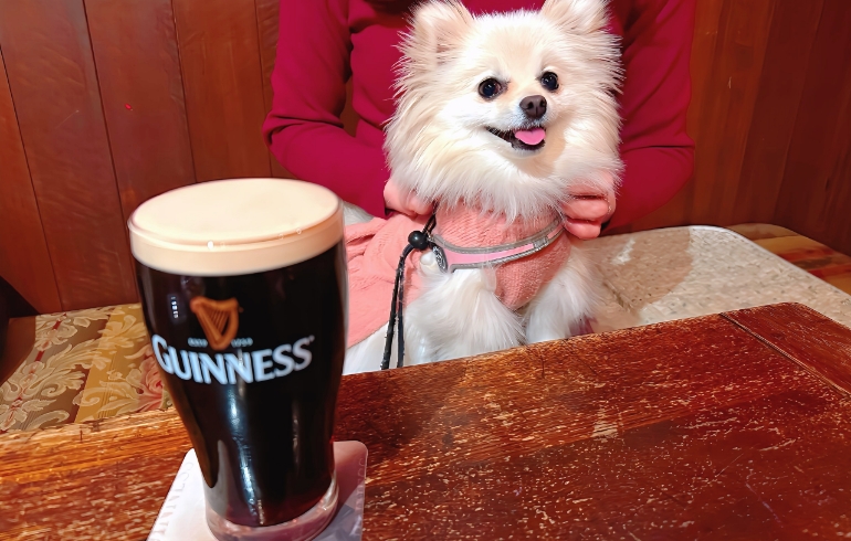 ギネスビール