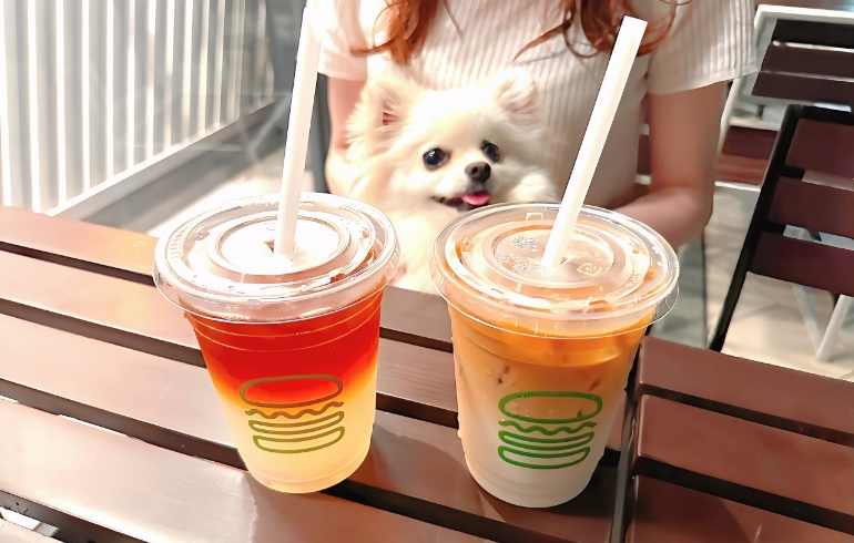 Shake Shack（シェイクシャック）みなとみらい店