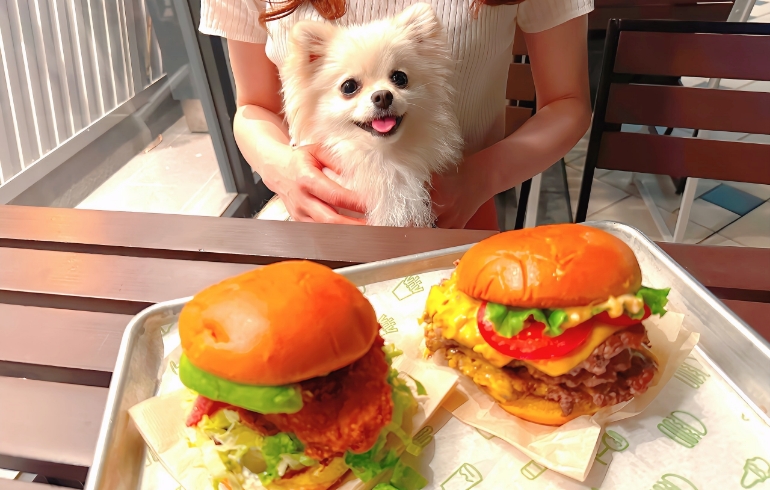 バーガー２種とゆめちゃん