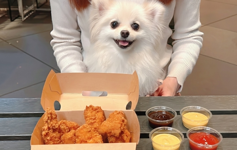 チキンバイツとゆめちゃん
