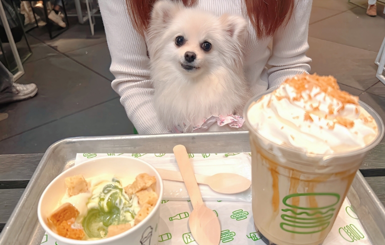 ほうじ茶シェイクとゆめちゃん