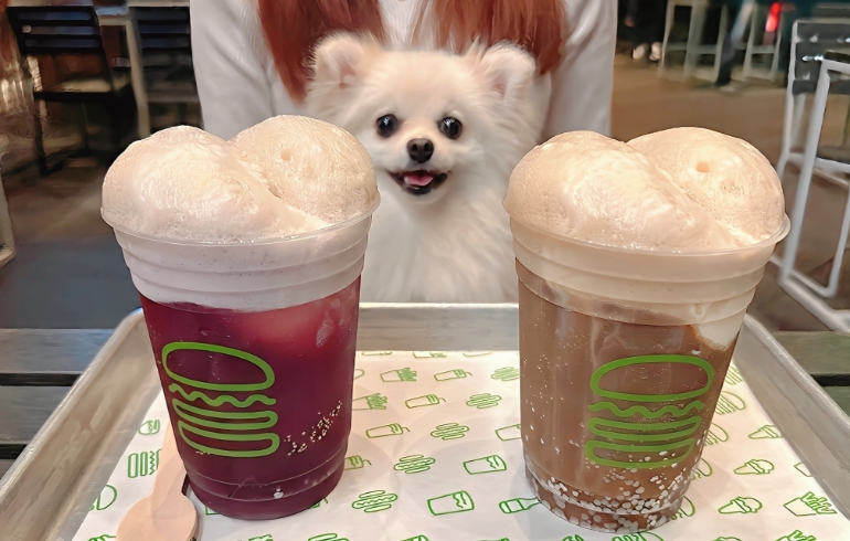 ドリンクとゆめちゃん1