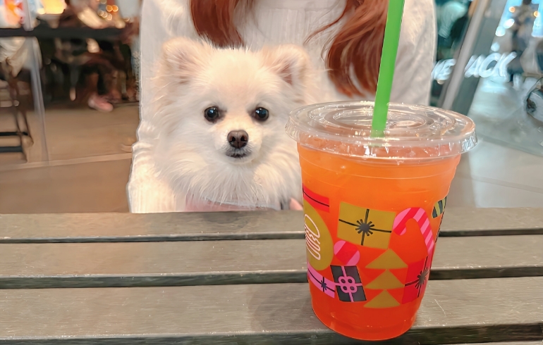 ドリンクとゆめちゃん2
