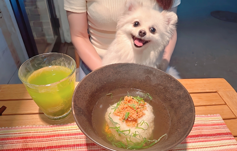 出汁ごはんおにぎりの出汁茶漬けとゆめちゃん