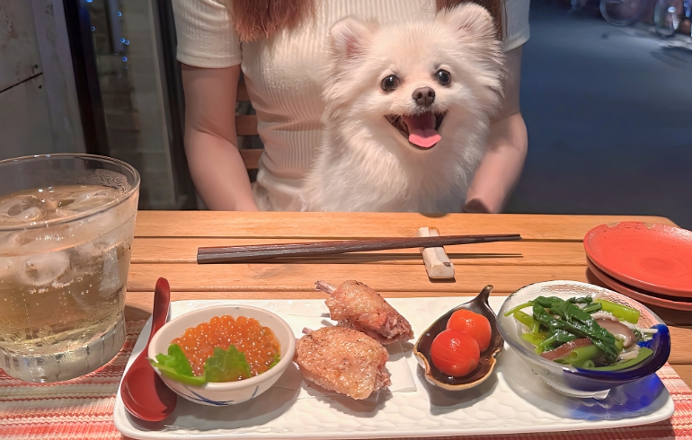 おつまみの盛り合わせとゆめちゃん
